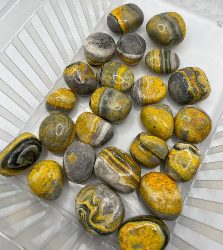 Bumble Bee Jasper Tumbles (Rare, AAA Grade)