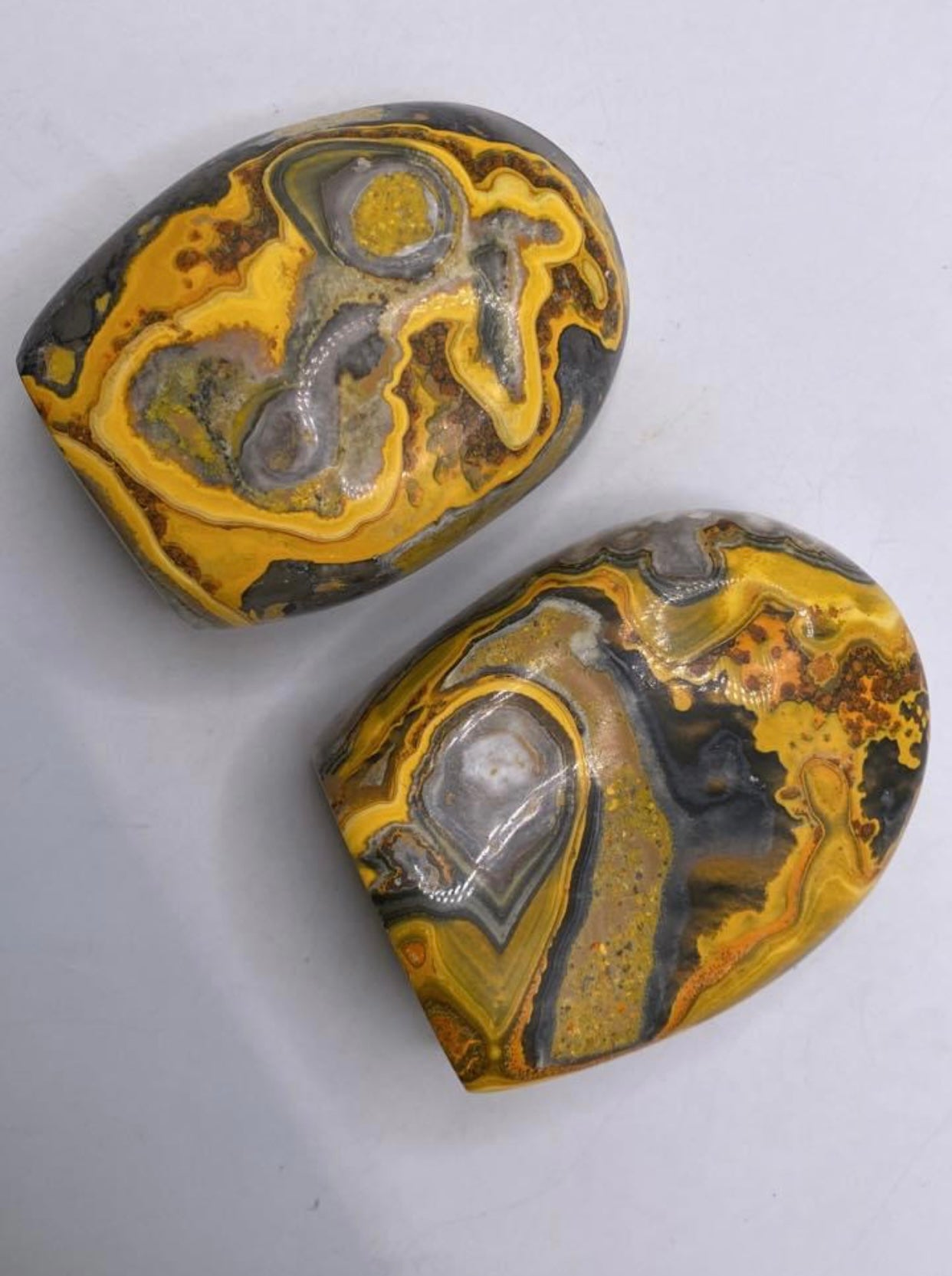 Bumble Bee Jasper Freeforms (RARE)