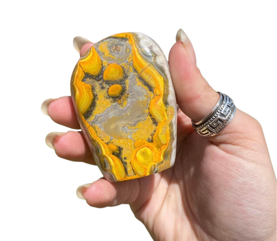 Bumble Bee Jasper Freeforms (RARE)