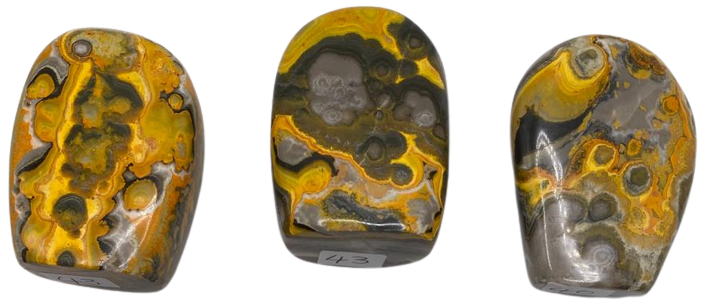 Bumble Bee Jasper Freeforms (RARE)