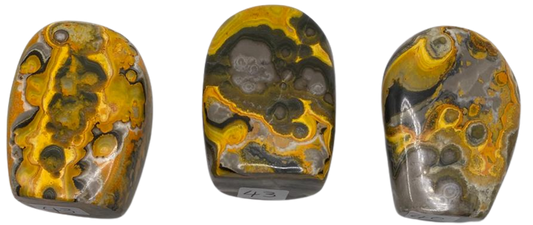 Bumble Bee Jasper Freeforms (RARE)