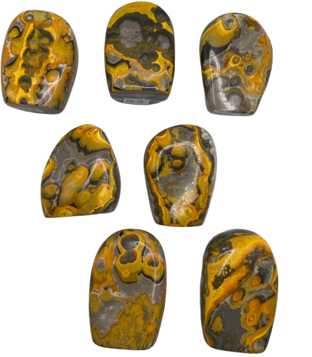 Bumble Bee Jasper Freeforms (RARE)