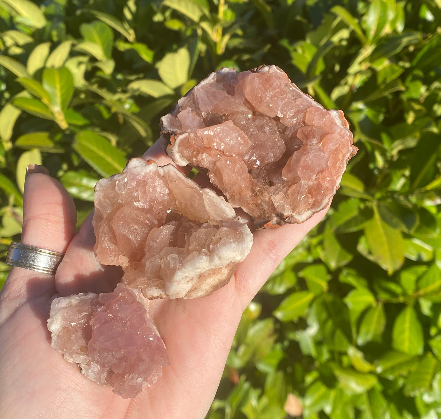 Pink Amethyst Geodes (RARE)